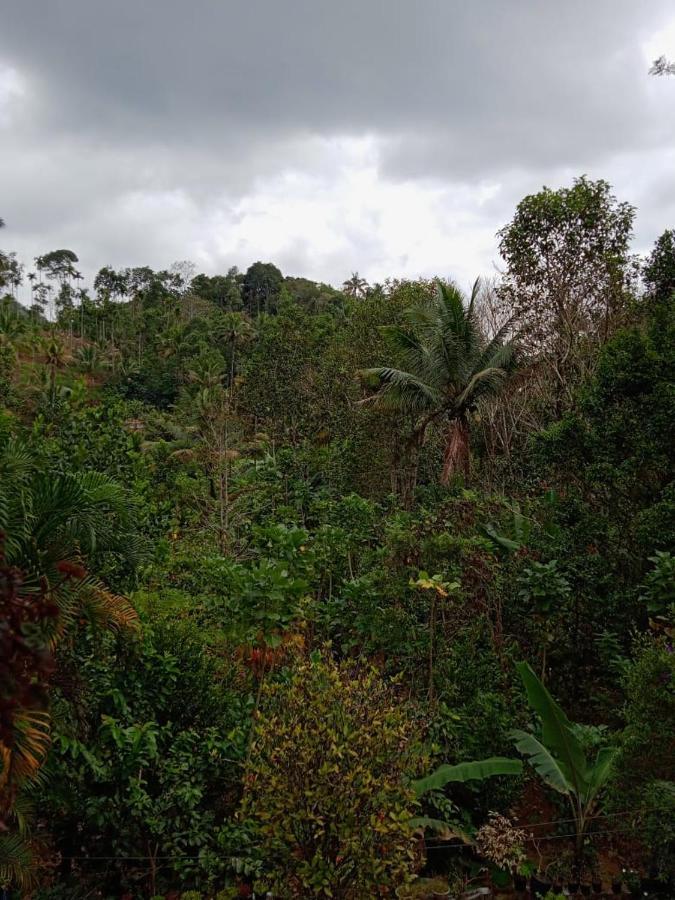 Maliyeckal Homestay Munnar Buitenkant foto