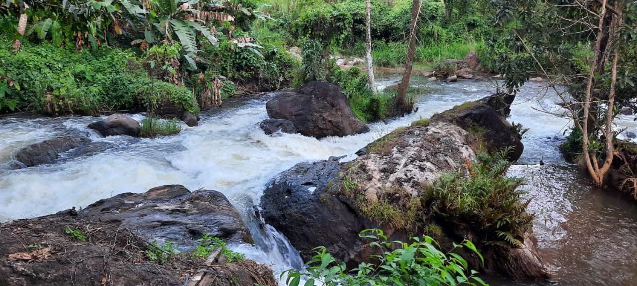 Maliyeckal Homestay Munnar Buitenkant foto