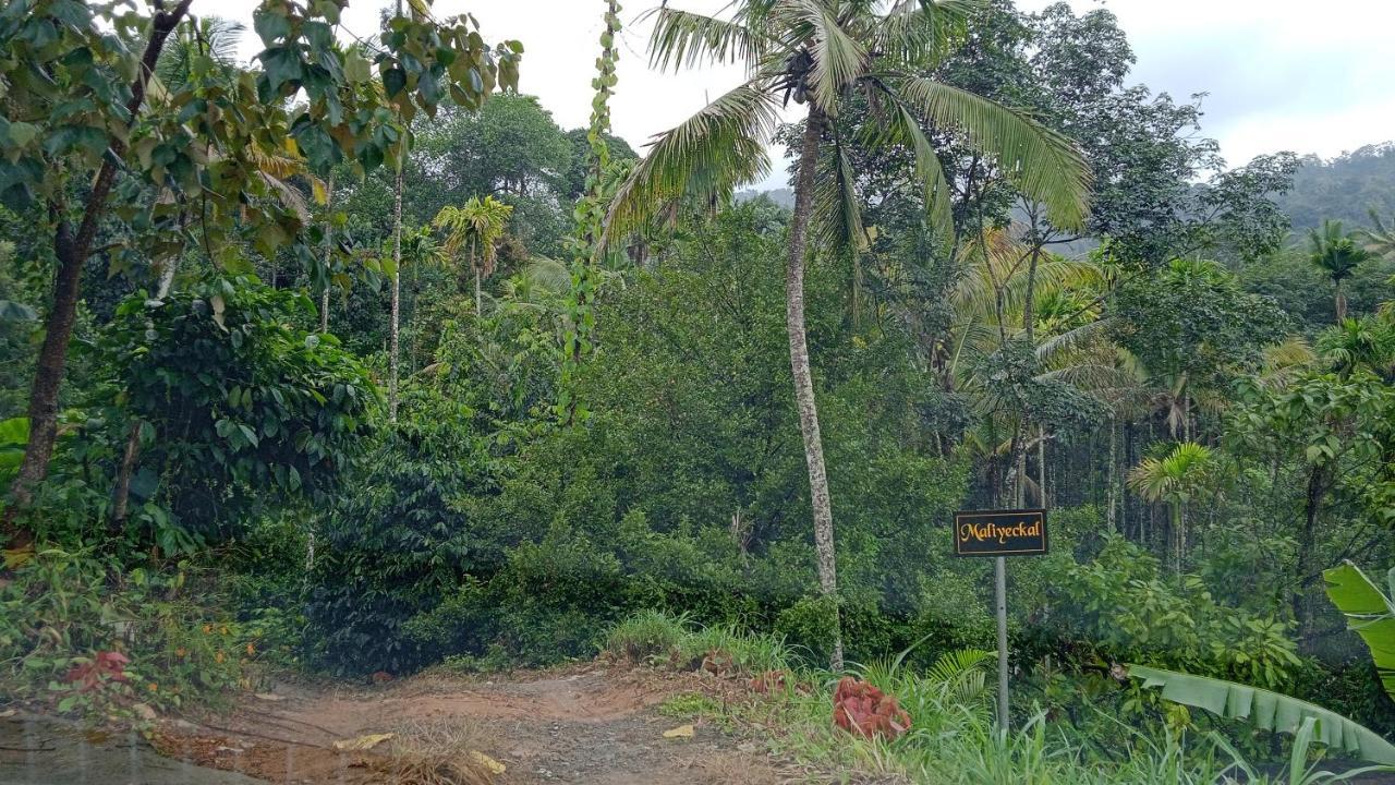 Maliyeckal Homestay Munnar Buitenkant foto