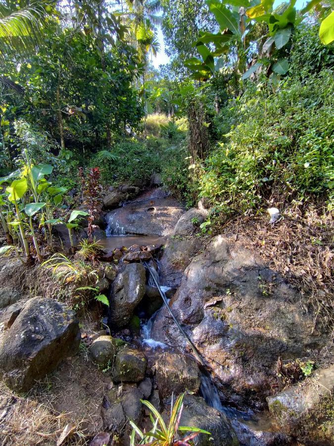 Maliyeckal Homestay Munnar Buitenkant foto