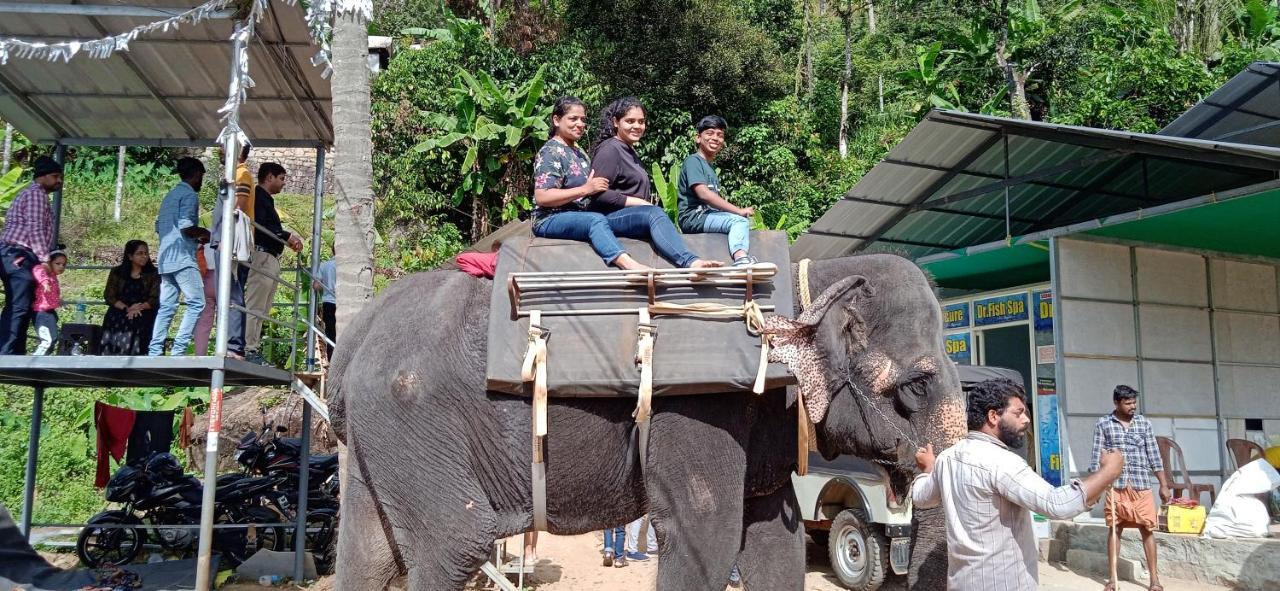 Maliyeckal Homestay Munnar Buitenkant foto