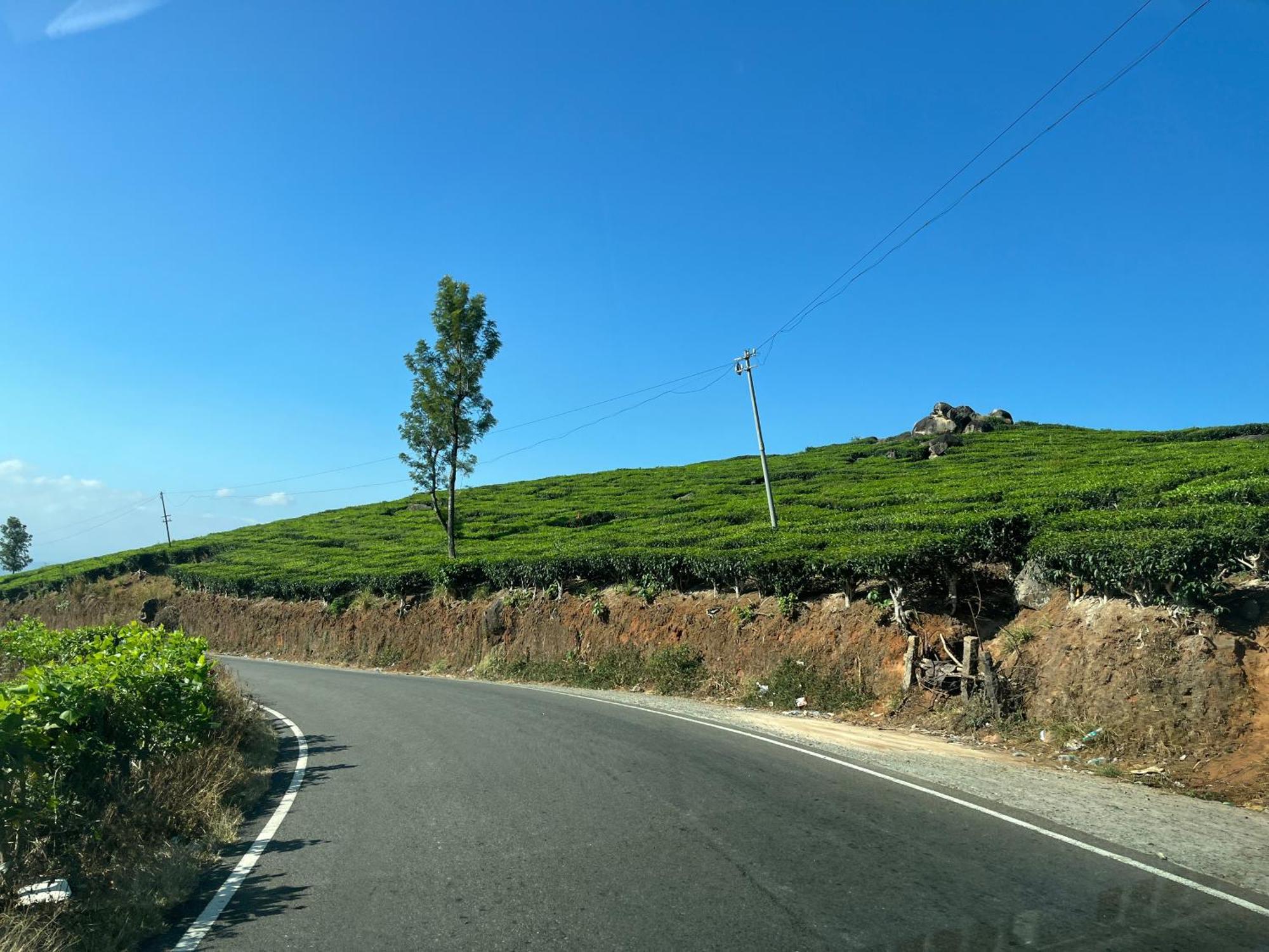 Maliyeckal Homestay Munnar Buitenkant foto