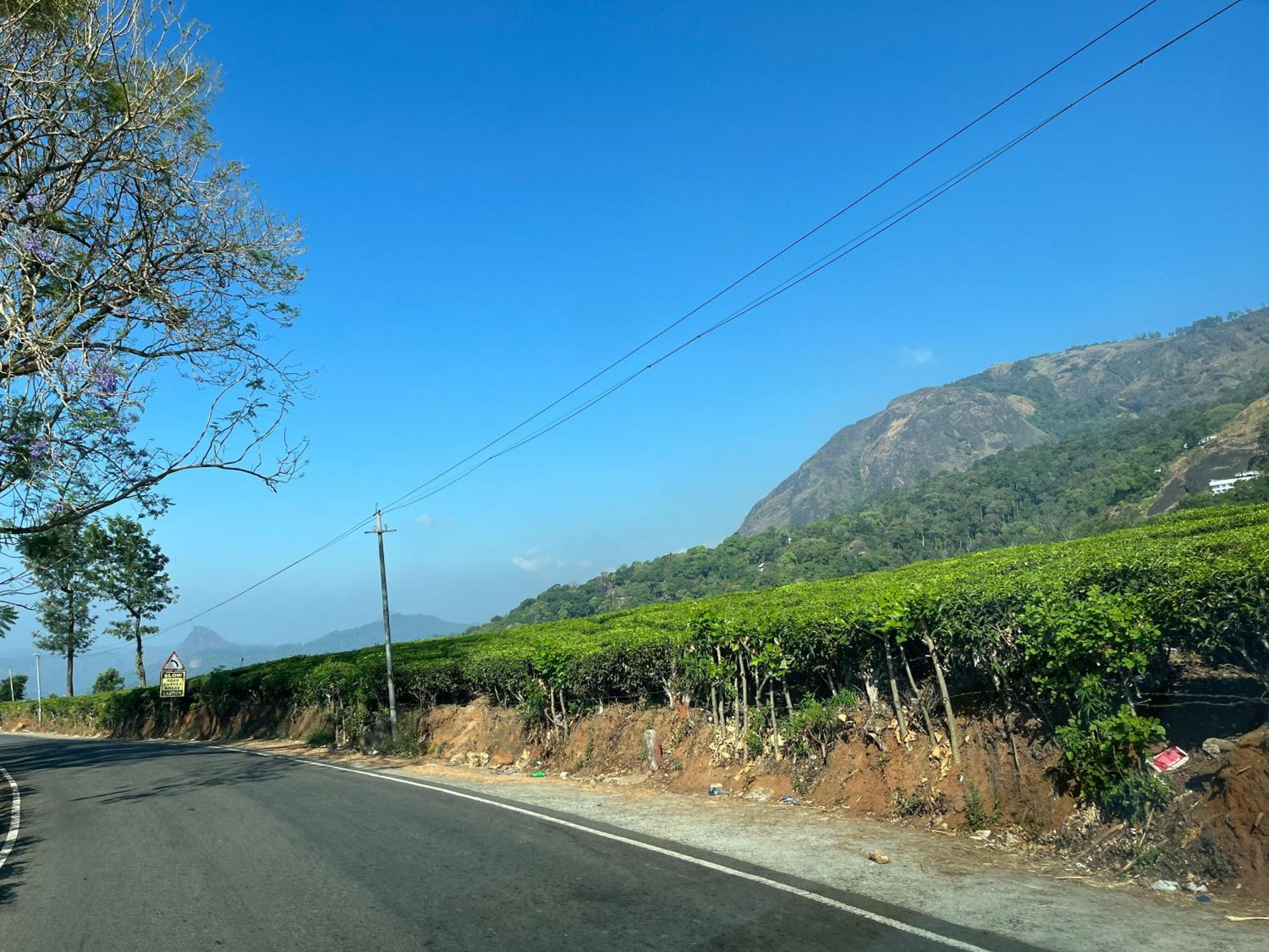Maliyeckal Homestay Munnar Buitenkant foto