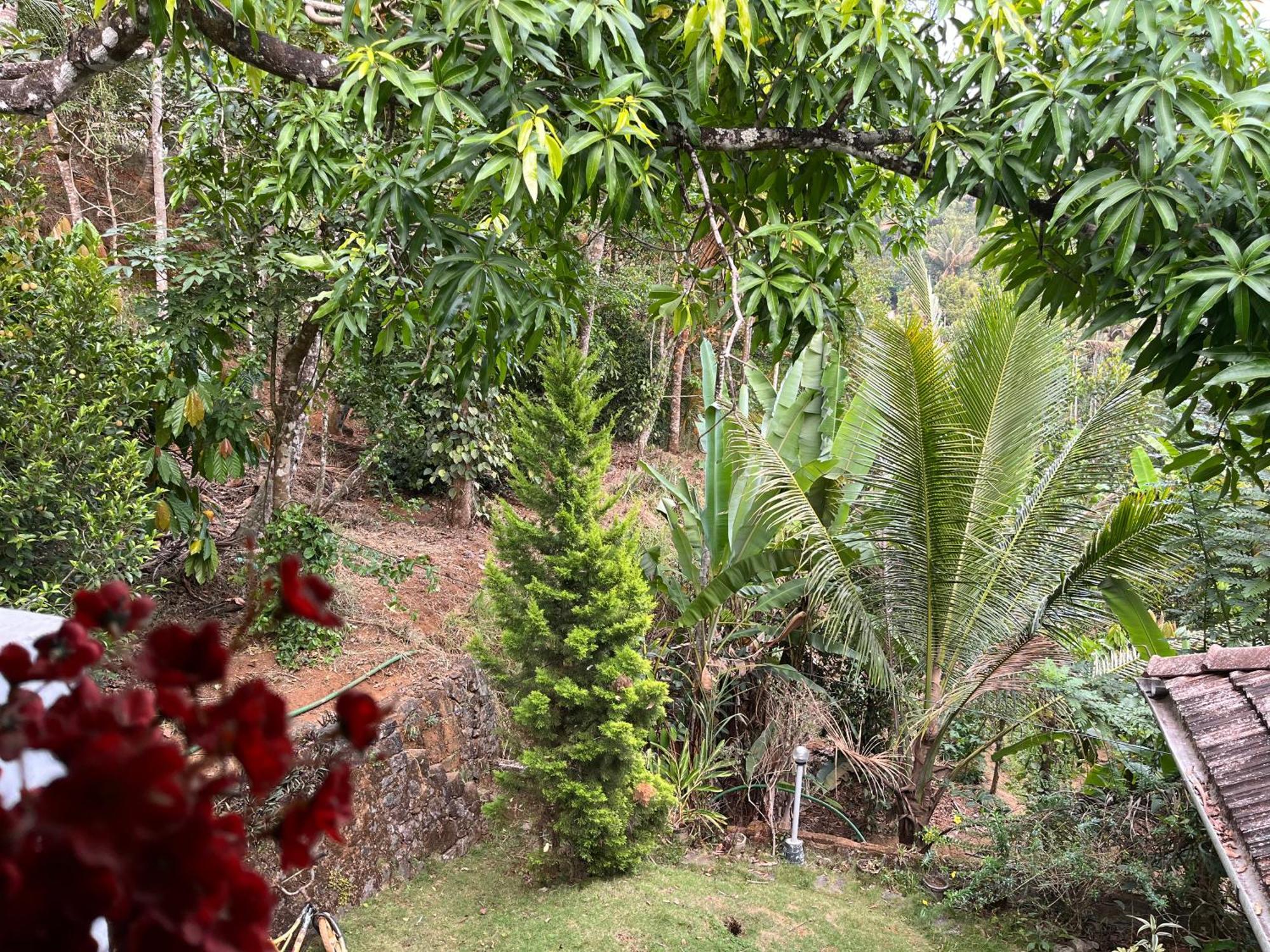 Maliyeckal Homestay Munnar Buitenkant foto